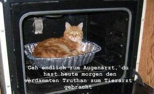 Geh' endlich zum Augenarzt. Du hast heute morgen den verdammten Puter zum Tierarzt gebracht.