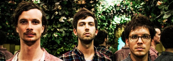 Header_schnellertollermeier